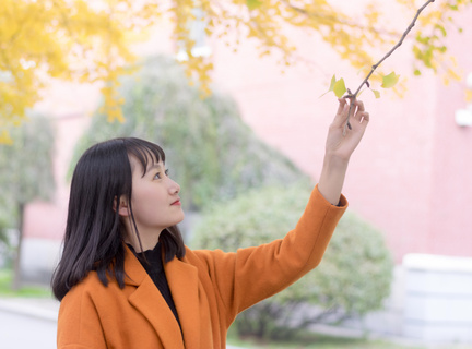 哪种情况会导致菲律宾签证被拒签